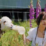 스타쉽 키키 이 둘은 진짜 <b>유니크</b>하다