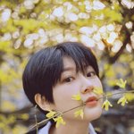 故 김새론→<b>김아임</b> 개명 후…“카페 개업·연예계 복귀 준비했다”