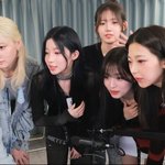 <b>베몬</b> 한국인들한테 빨리는 애들은 이 5명인듯