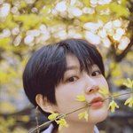 '유퀴즈' 출연 예일대 교수 "故 김새론 <b>벼랑</b> 끝 내몰린 죽음"