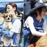 베풀었다..故김새론, 생전 유기견 봉사 모습 '먹먹' (<b>Oh</b>!쎈...