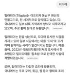 챗지피티 얘 왜<b>이래</b>