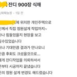 <b>잔디</b>업체 이거 맞나요?