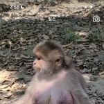 애들아 너네 얘보다 큼?