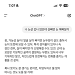 챗지피티한테 은교<b>여시</b>짓함