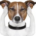 너네는 남친이 인스타 계정에 <b>훈수</b>둠?