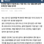 머리에 <b>알로에</b>팩 하니깐 각질 줄어듦