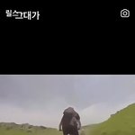 너네 <b>썸남</b>이 이 릴스 좋아요 누르면
