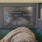 장원영, 1등석 타고 해외로…수수한 차림에도 빛난 미모 [N샷]