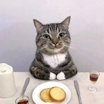 솔직히 한국<b>음악들</b> 너무 ㅎㅌㅊ임