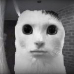 ㄹㅇ 돈날리게 생김