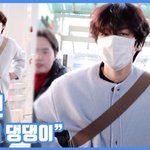 덮머 댕댕이"...백현, 훈훈함 <b>만렙</b>