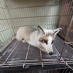 <b>SBS</b> <궁금한 이야기 Y>에서는 지난 2월 11일 오전 9시경...