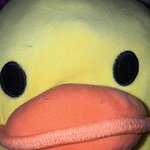 [댓글부탁해] 얘들아 이 <b>인형</b> 어때