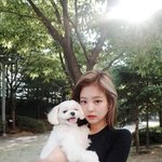 왜 외국인들이 앞머리 까고다니는지 알거같음