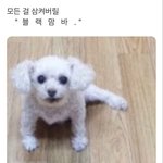 [댓글부탁해] 너넨 메이크업<b>샵</b> 가면