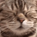 <b>며칠</b>