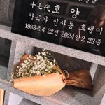 본 것 같아 좋아” EXID <b>엘리</b>, 故 신사동호랭이 1주기 추모