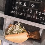 EXID 엘리, 故신사동호랭이 1주기에 묘소 찾아 추모 "평안하길"