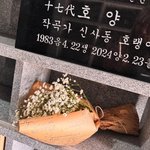 EXID 엘리, 故신사동호랭이 1주기…묘소 찾은 15년지기 "시간...