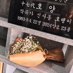 신사동호랭이 1주기…EXID <b>엘리</b>, 묘소 찾아 추모 "평안하길"