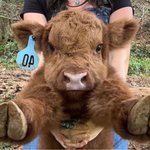 <b>마이린</b> 여친 개이쁘네