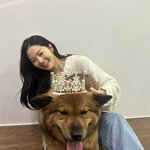 임시 보호견에 본인 '<b>진주</b> 목걸이'까지 걸어줘…"잘 어울리죠...