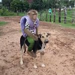 나... 키키 선공개곡 <b>뮤비</b> 소신발언...