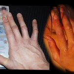 <b>육준</b>서 판남설은 알빠노인데