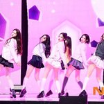 <b>하투</b>하 비율 걍 미쳤네