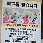 제보부탁드립니다ㅠ