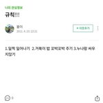 <b>역시</b> 누나 있는 남자가 찐이다