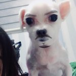 아 진짜 경희대짤 이제 봤는데 개웃기네