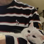 [어케생각해] 우리뚜아 <b>고영희</b>씌3