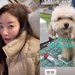 김사랑 안타까운 소식, 반려견 <b>줄기</b>세포 시술…‘걱정’ 한 가득
