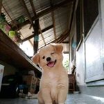 첫 수강<b>신청</b> 올클!!