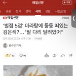벌레 사진 주의)이제 마라탕 그만 <b>먹자</b>긔..