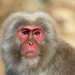 [하고싶은말] 나만나줄