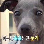[댓글부탁해] <b>키르시</b>교환신청하면