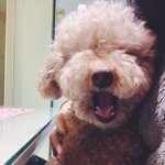 [댓글부탁해] 좀 있으면 퇴근<b>시간</b>!!!