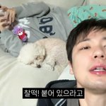 레인보우 정윤혜<b>안재민</b> "결혼식 2주 만에 임신…신혼여행 못 가"