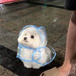 [19] 얘들아 나 방금 <b>치질검사</b> 받고옴ㅋㅋㅋㅠㅠ