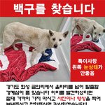 죄송하지만 꼭 봐주세요..