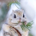 [19] 14살인데 <b>겨털</b>난거 빠른걸까ㅜ