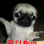 <b>무례</b>한걸 매력으로 착각하는게 ㅈㄴ싫음