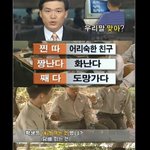 [19] 탈<b>브라</b>하는거 어케생각함?