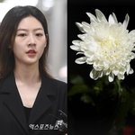 전효성, 조용히 故김새론 추모…말없이 남긴 국화꽃 한 장