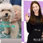 김사랑, 안타까운 근황…반려견 줄기<b>세포</b> 시술에 '슬픔 가득'