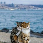 [19] <b>성당</b> 언니 혼전임신함