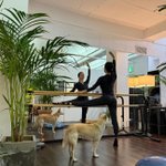 엄정화, 얼마나 관리했으면..美친 <b>유연</b>성과 코어힘 자랑